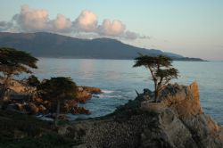 Cypress Point California on the way to LAX to go diving i... by Tom Blackburn 